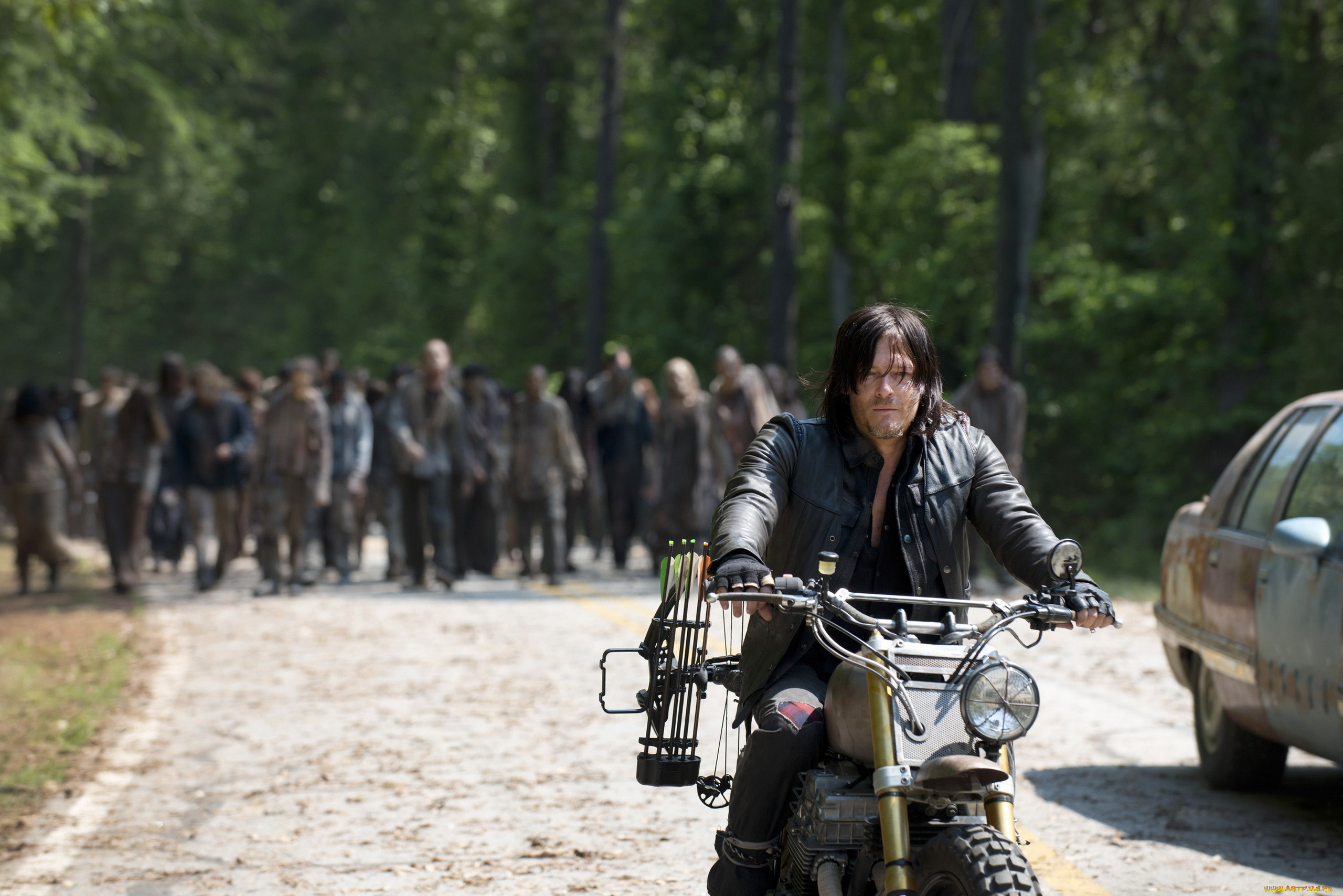  , the walking dead, 
